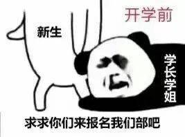 确认过眼神,是面试官想要的人