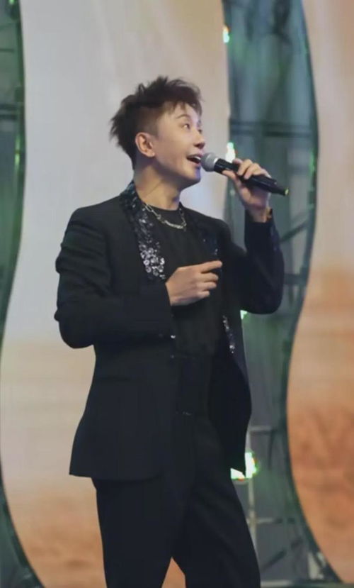 毛宁演出近照曝光,55岁暴瘦50斤完全认不出来,只能凭声音辨别