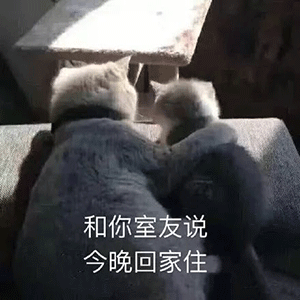 搞笑沙雕表情包