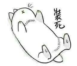qq表情胖猫