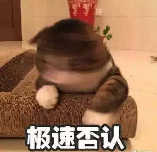 他拍和自拍哪个才是真的照骗科学的解释来了