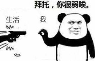 十条段子以前媳妇喊我大名,我还傻乎乎的过去,现在我立刻就跑