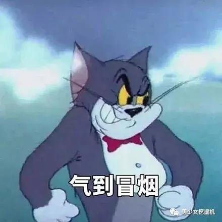 金晨没成团是和节目组谈崩了
