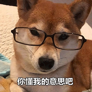 今日抖音表情包集合别等了妹妹,我老公刚睡