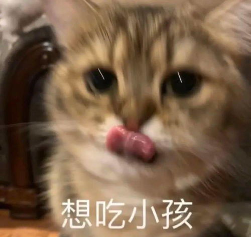抖音热门表情包丨你别过来我怕狗