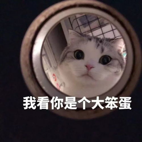 一眼大一眼小表情包