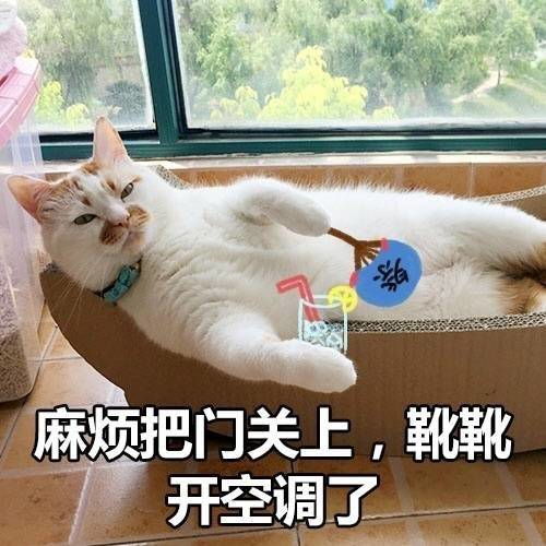 被金钱压平了胸表情高清版