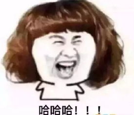 神秘天团攀枝花出道誓要与太阳肩并肩