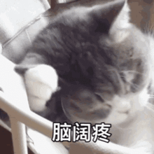 孩子竞选班干部,咋就成了家长宫斗剧