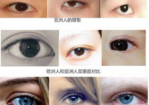 什么眼型适合做欧式双眼皮欧式双眼皮好看吗