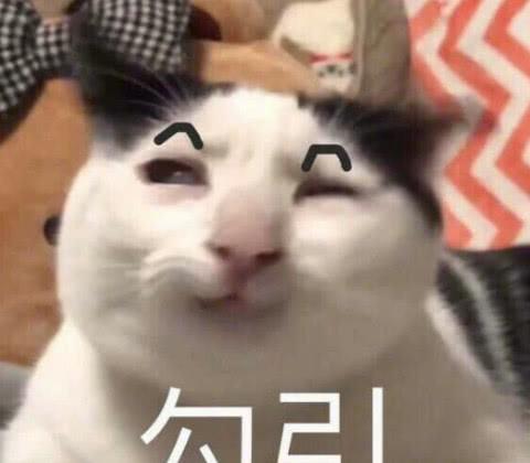 萌宠萌娃表情包太冷不想打字,你懂我意思吧