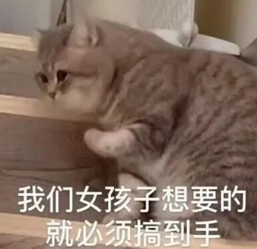 表情包晚安,有机会一起睡觉