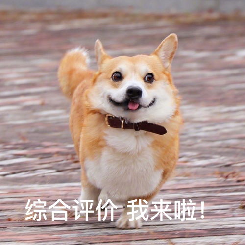 高三同学们看这里综合评价,省三也有机会这些省份有超多优势