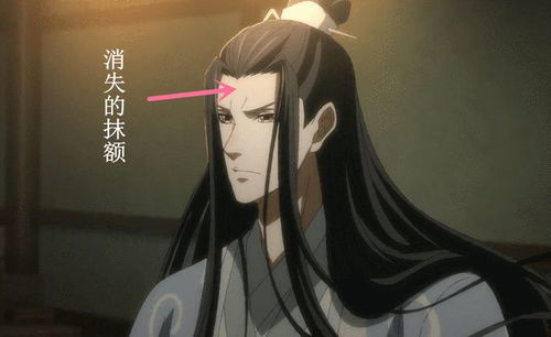 当蓝忘机用抹额捆住魏无羡,蓝思追还算机智,泽芜君表情很微妙