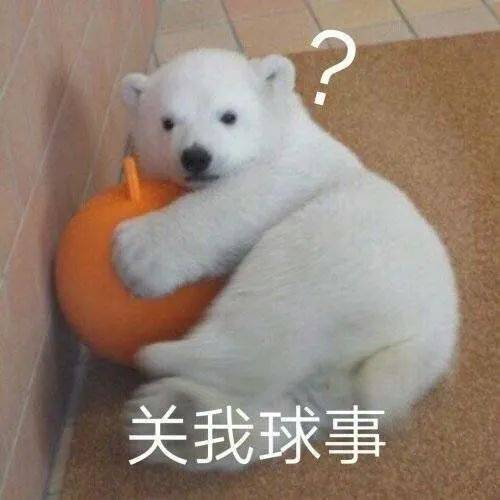 三观尽碎被币圈洗脑的母亲劝女儿卖y,声称跟谁睡不是睡