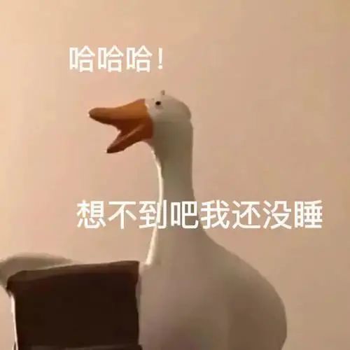 表情包想不到吧,我还没睡