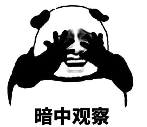 过马路时觉得对面有双眼睛在盯着,走近一看才知道