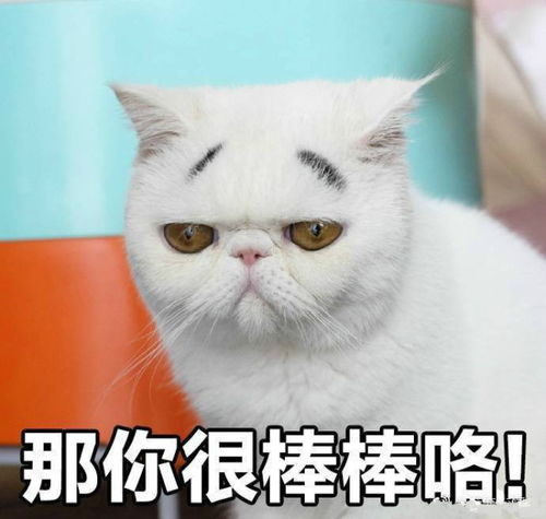 我没有不开心,我心里都乐开了花