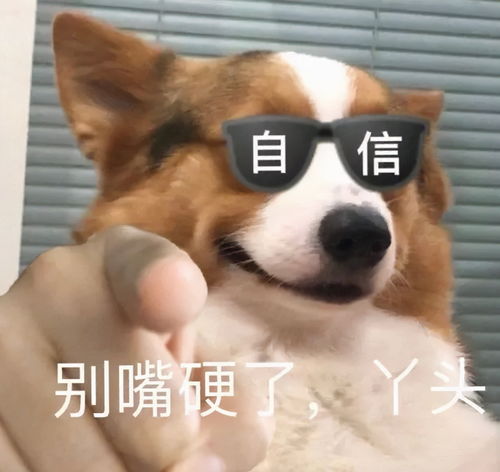 狗头人系列表情包眼里