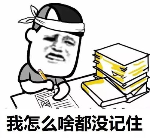 一个月背10000单词,那是什么体验