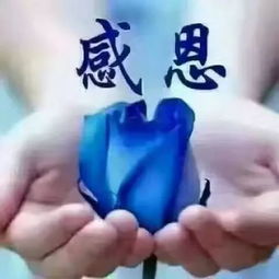 聊天表情图库太美了值得收藏