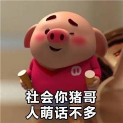 猪小屁可爱表情包社会你猪哥,人萌话不多
