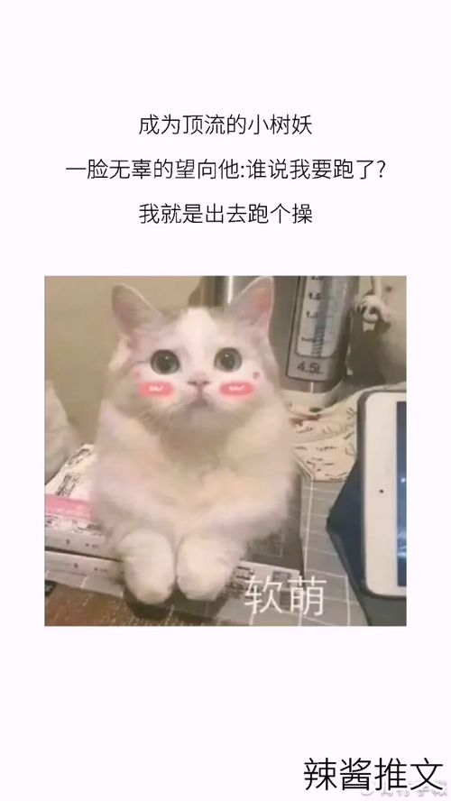 表情包配字沙雕安利