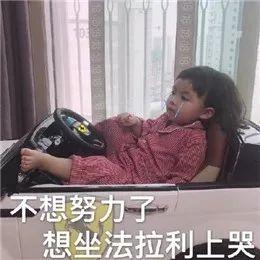 这届不搞男人的单身中年少女,到底为什么活得那么快乐