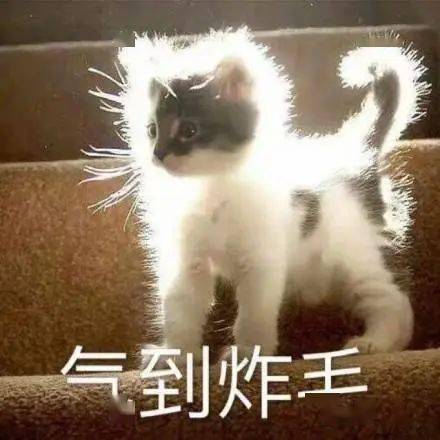 文人骂人有多毒