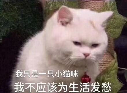 是否要答应固p的表白我也有一点上头