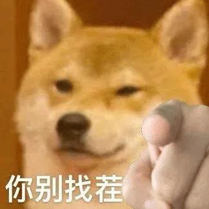 沙雕表情包,丫头,满意吗