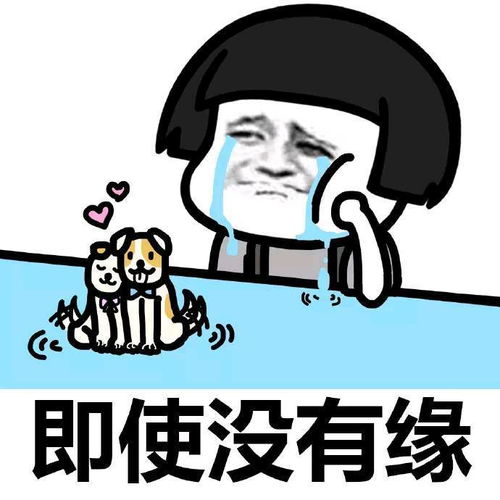每日一笑老爸,俺在你的蓝色衬衫口袋放了钱,你别告诉妈