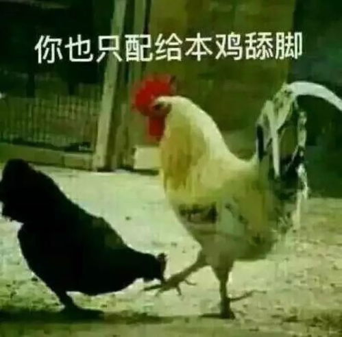 天津相声广播这就是传说中的充电费送房子