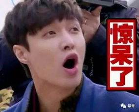 汪涵妻子杨乐乐,疑被闺蜜骗近800万,娱乐圈又有哪些被骗的明星大家认为谁最傻