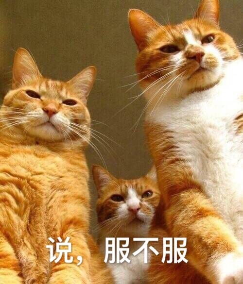 搞笑表情包听说你要搞事