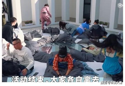 舒淇真社会人发现张翰他们对村长不满后,3个表情变化真微妙
