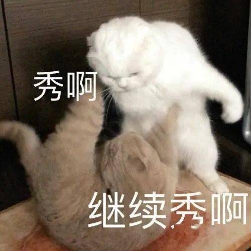 表情包动图值得收藏的表情包