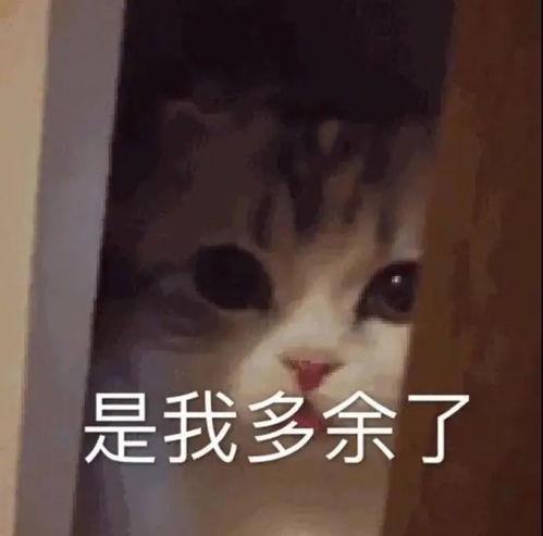 表情包你怎么这么厉害