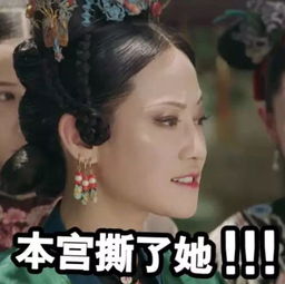 高贵妃表情包延禧宫略攻略无水印吐槽怼本堆糖,美好生活研究所