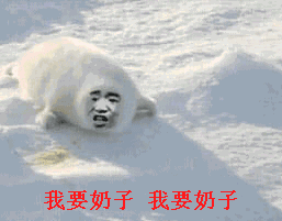 海豹金馆长表情的动图