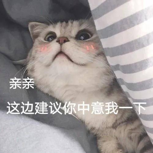 聊天表情包我要闹脾气咯
