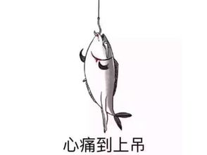 打着优享的旗号变相涨价,滴滴你果然没变