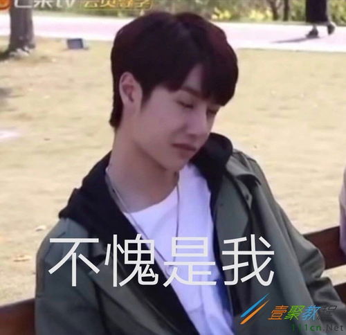 抖音王一博蓝湛不愧是我表情包有哪些王一博蓝湛不愧是我表情包分享