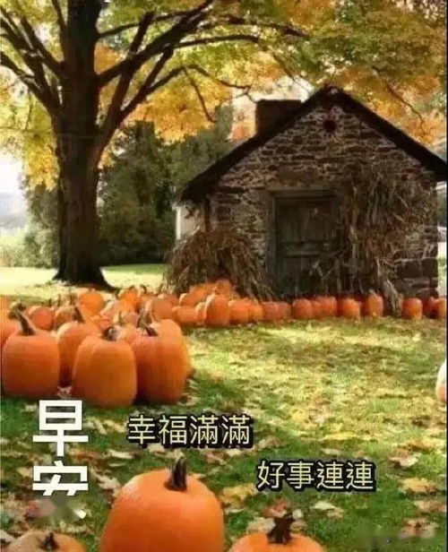 好难啊表情包gif问候语