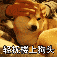 沙雕狗狗表情包来袭,赶紧收起来