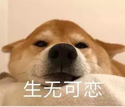 考前救援,这几点都记到心里去,不准二战