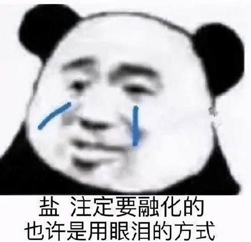工作5年后才想去日本考研,备考半年拿到神户大学修士合格