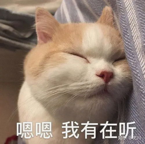 如何选购空气净化器