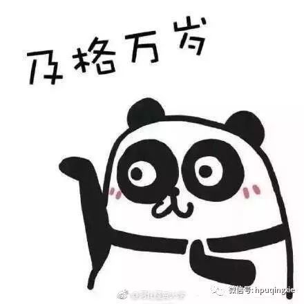 努力,努力,再努力