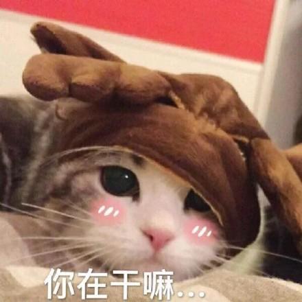 笑话段子打字聊不好吗,非得老娘开口